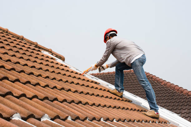 Best Skylight Installation and Repair  in Lansing, MI