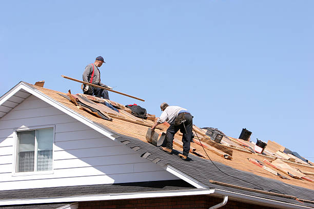 Best Flat Roofing  in Lansing, MI
