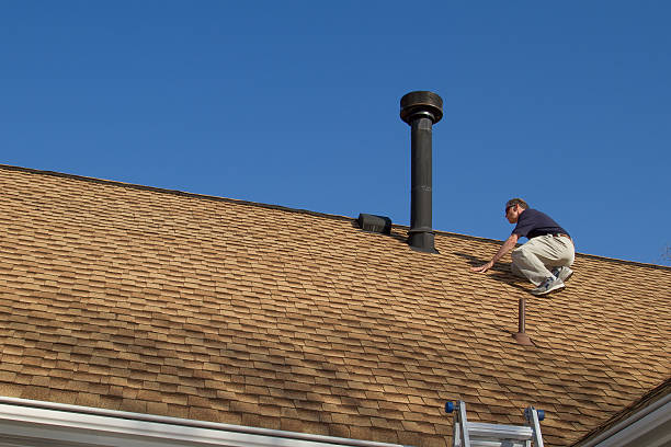 Best Solar Panel Roofing Installation  in Lansing, MI